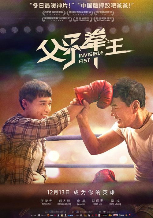 Póster de 父子拳王