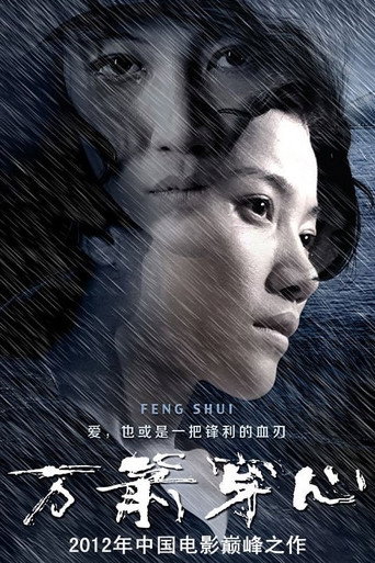 Póster de 万箭穿心