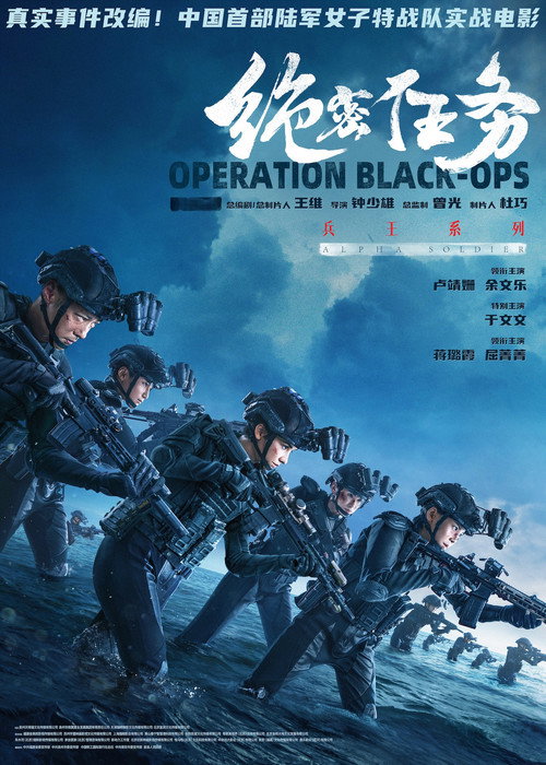 Póster de 绝密任务