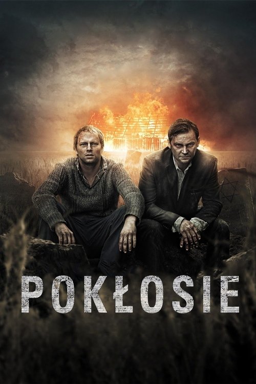 Póster de Pokłosie