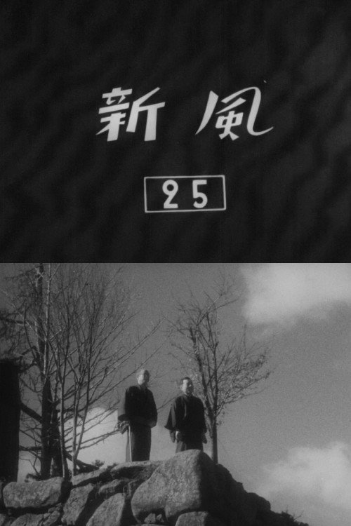 Póster de 新風