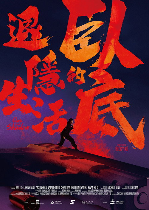 Póster de 臥底的退隱生活