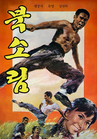 Póster de 北少林