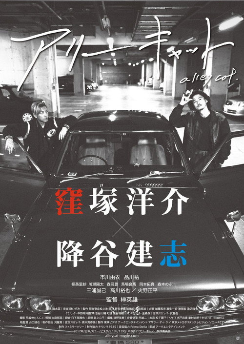 Póster de アリーキャット