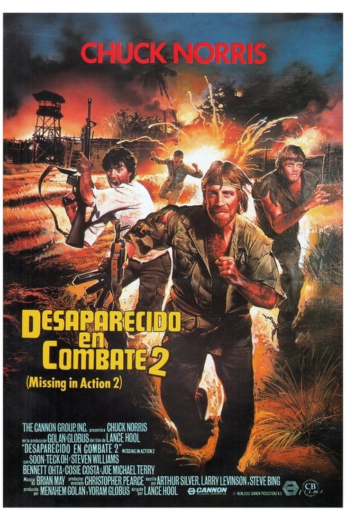 Póster de Perdido en acción 2