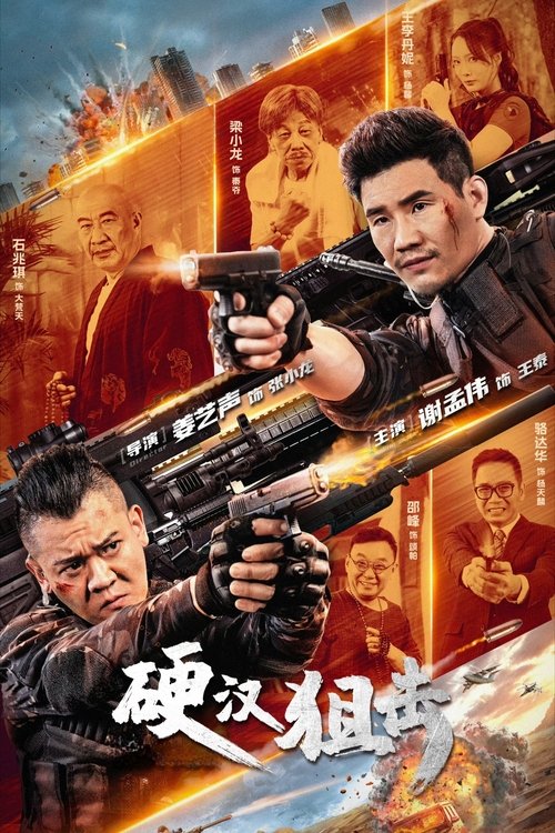 Póster de 硬汉狙击