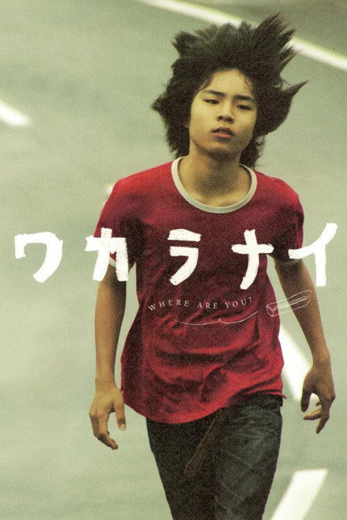 Póster de ワカラナイ