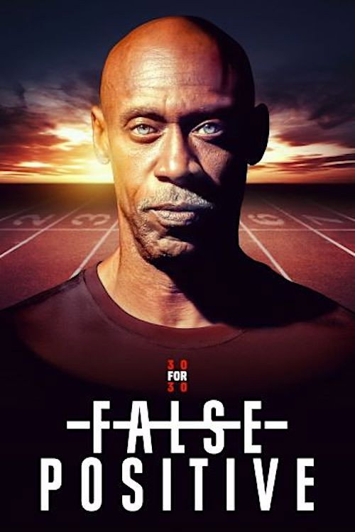 Póster de False Positive