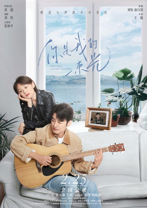 Póster de 你是我的一束光