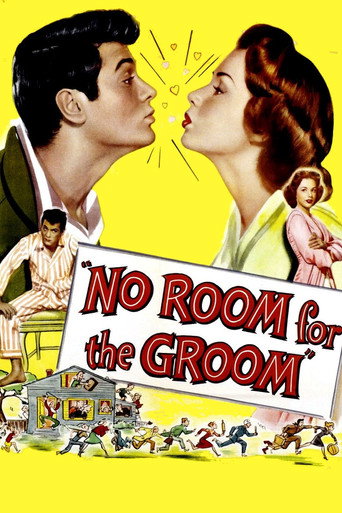 Póster de No Room for the Groom