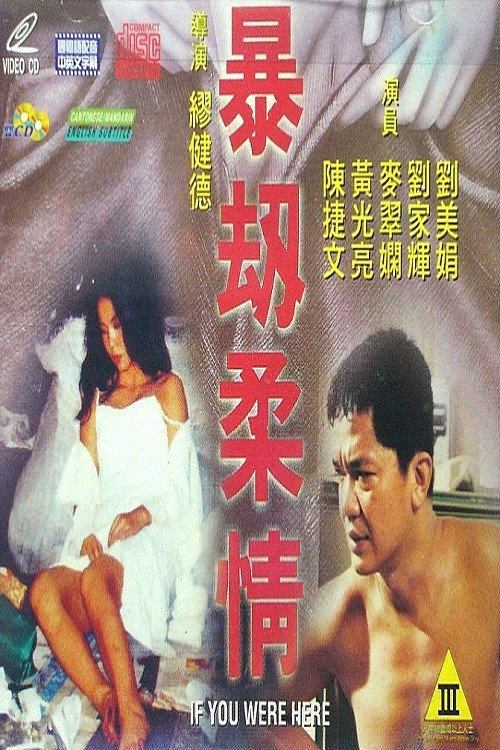 Póster de 暴劫柔情