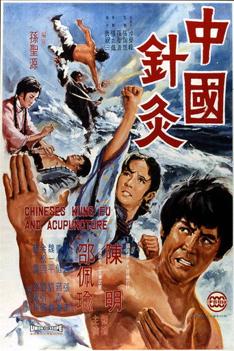 Póster de 中國針灸