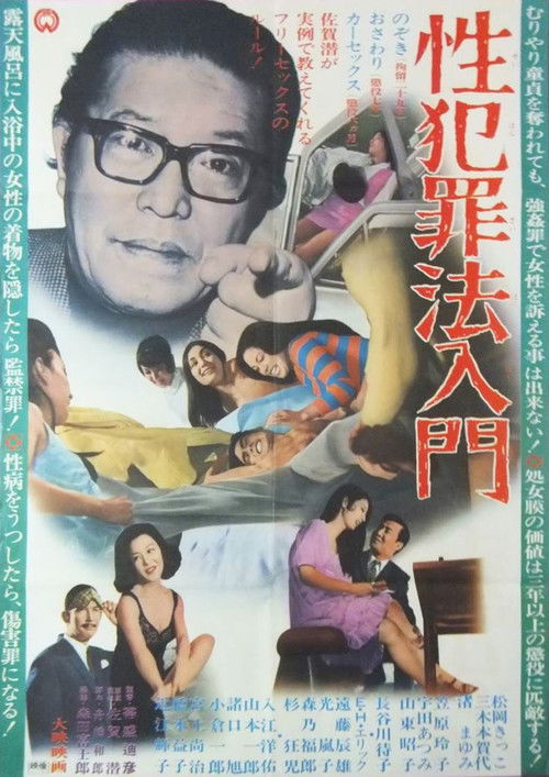 Póster de 性犯罪法入門