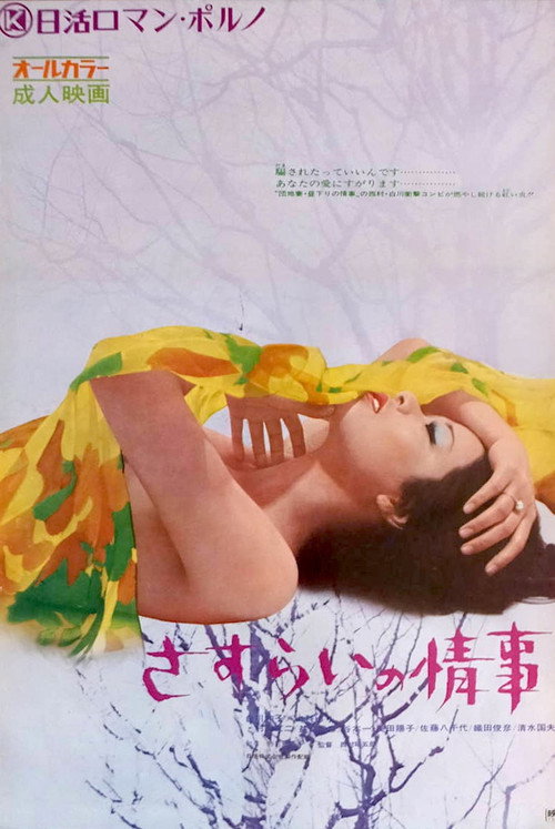 Póster de さすらいの情事
