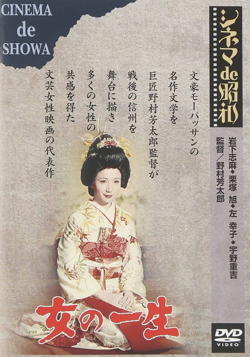 Póster de 女の一生