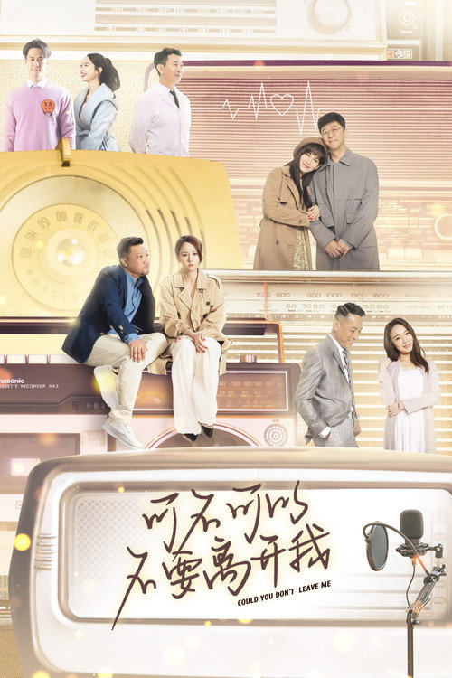 Póster de 可不可以不要离开我