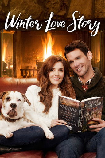 Póster de Winter Love Story