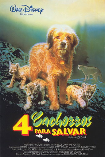Póster de Benji el Perseguido