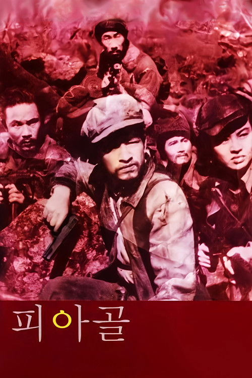 Póster de 피아골