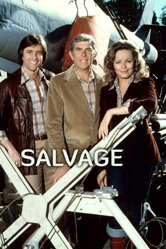 Póster de Salvage