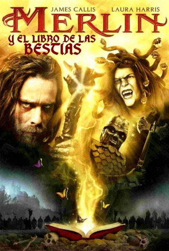 Póster de Merlin y el libro de las Bestias