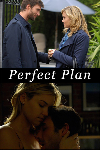 Póster de Perfect Plan