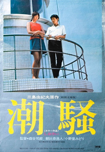 Póster de 潮騒