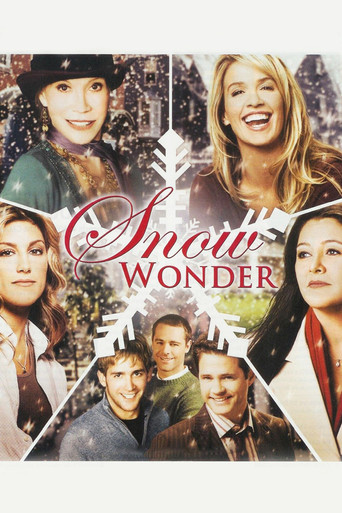 Póster de Snow Wonder