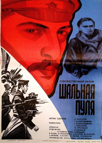 Póster de კიკვიძე