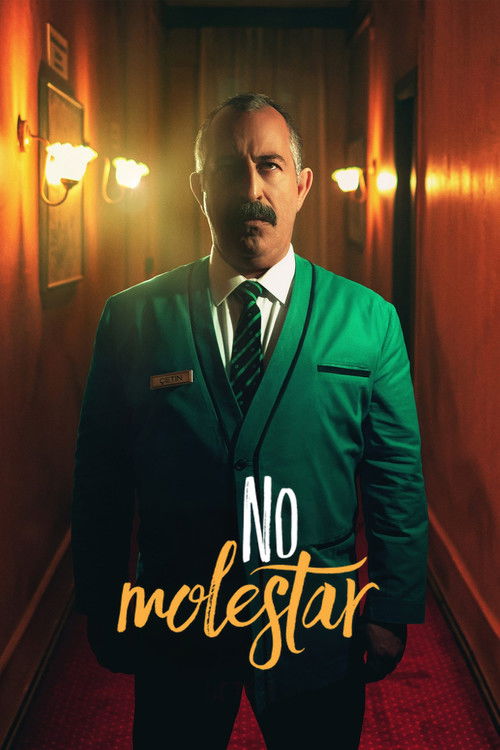 Póster de No molestar
