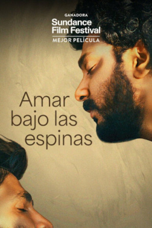 Póster de Cactus Pears