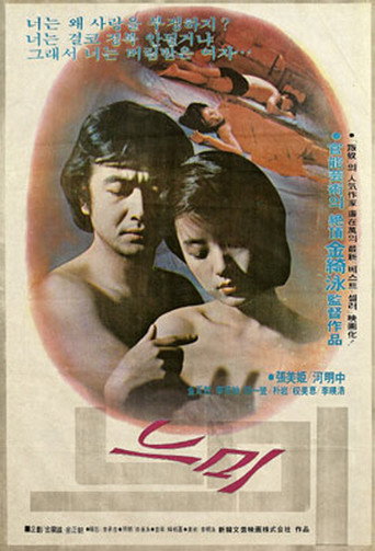 Póster de 느미