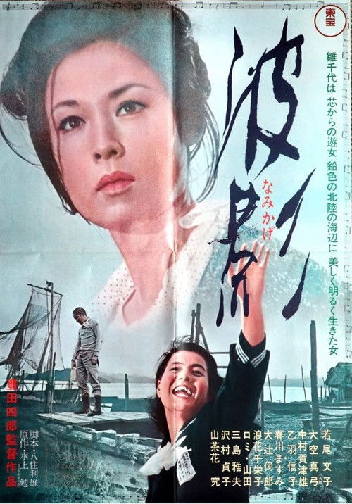 Póster de 波影
