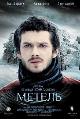 Póster de Snowstorm
