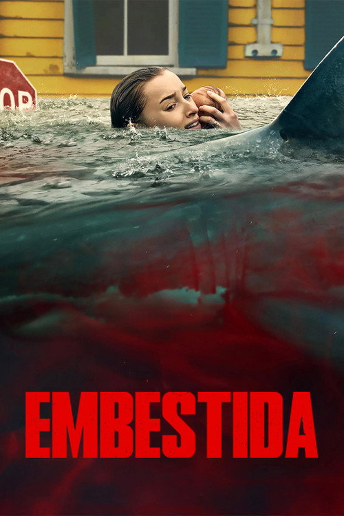 Póster de Embestida