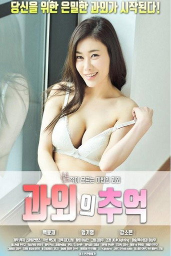Póster de 과외의 추억
