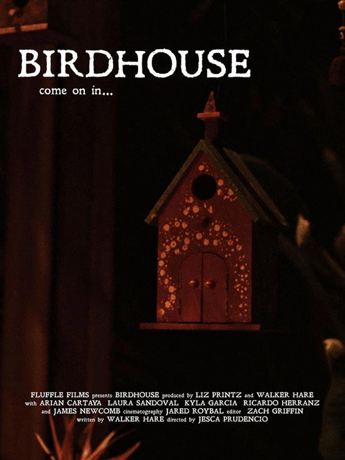 Póster de Birdhouse