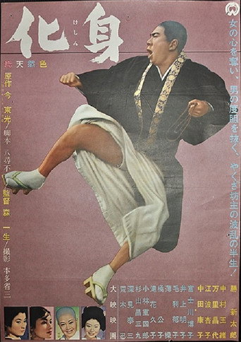 Póster de 化身