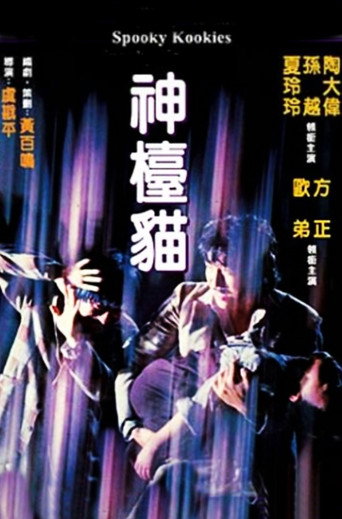 Póster de 神檯貓