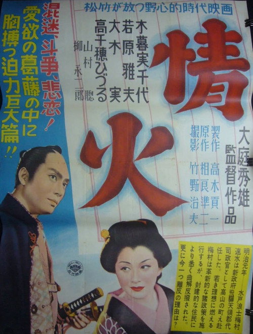 Póster de 情火
