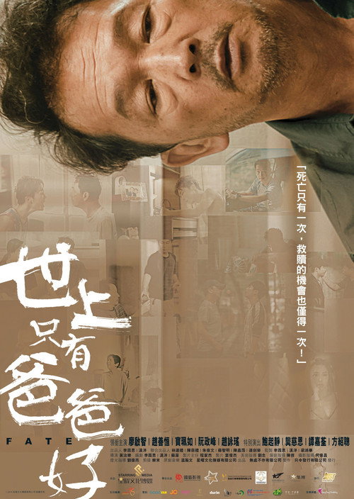 Póster de 世上只有爸爸好