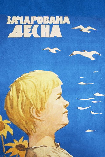 Póster de The Enchanted Desna