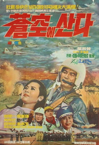 Póster de 창공에 산다