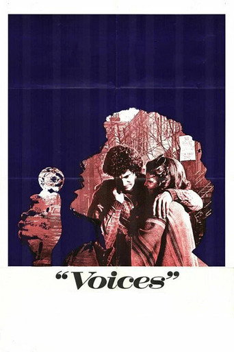 Póster de Voices