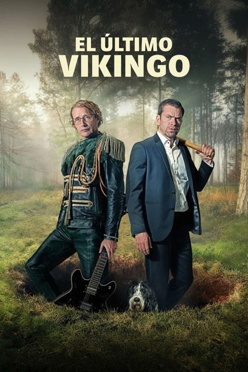 Póster de Den sidste viking