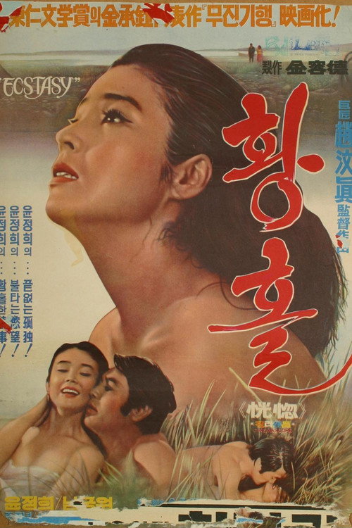 Póster de 황홀
