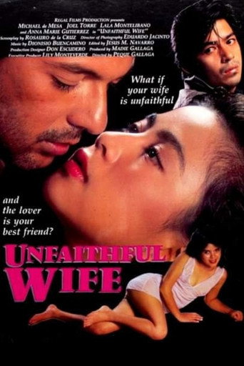 Póster de Unfaithful Wife