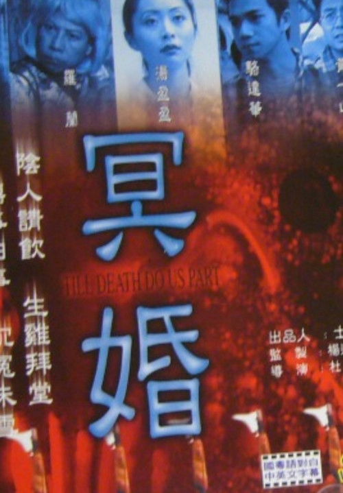Póster de 冥婚