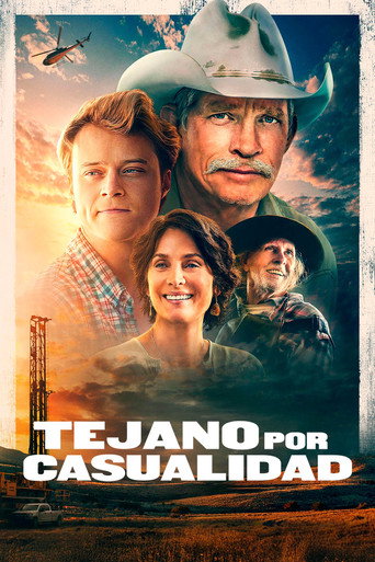 Póster de Accidental Texan