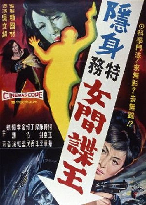 Póster de 特務女間諜王